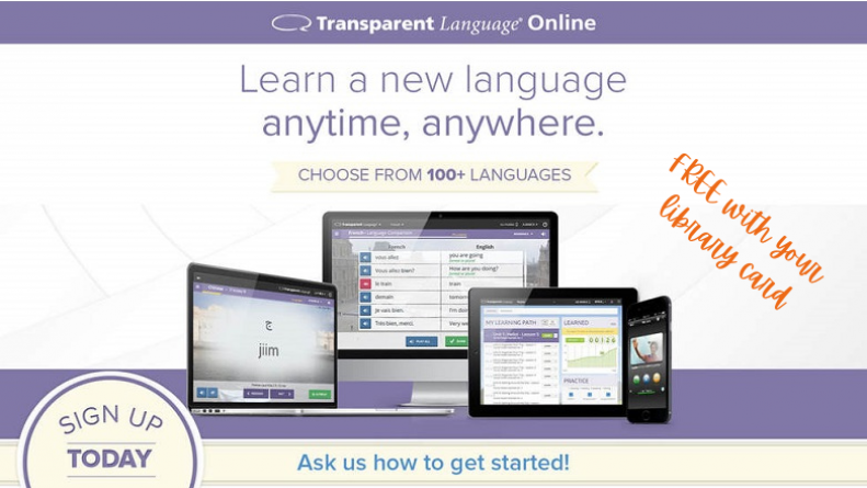 Hero - Transparent Language