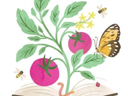 Summer Reading Starts Today! Thumb