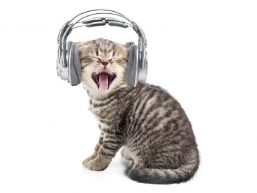 March 2024 — Audiophiles: Open Your Ears Thumb
